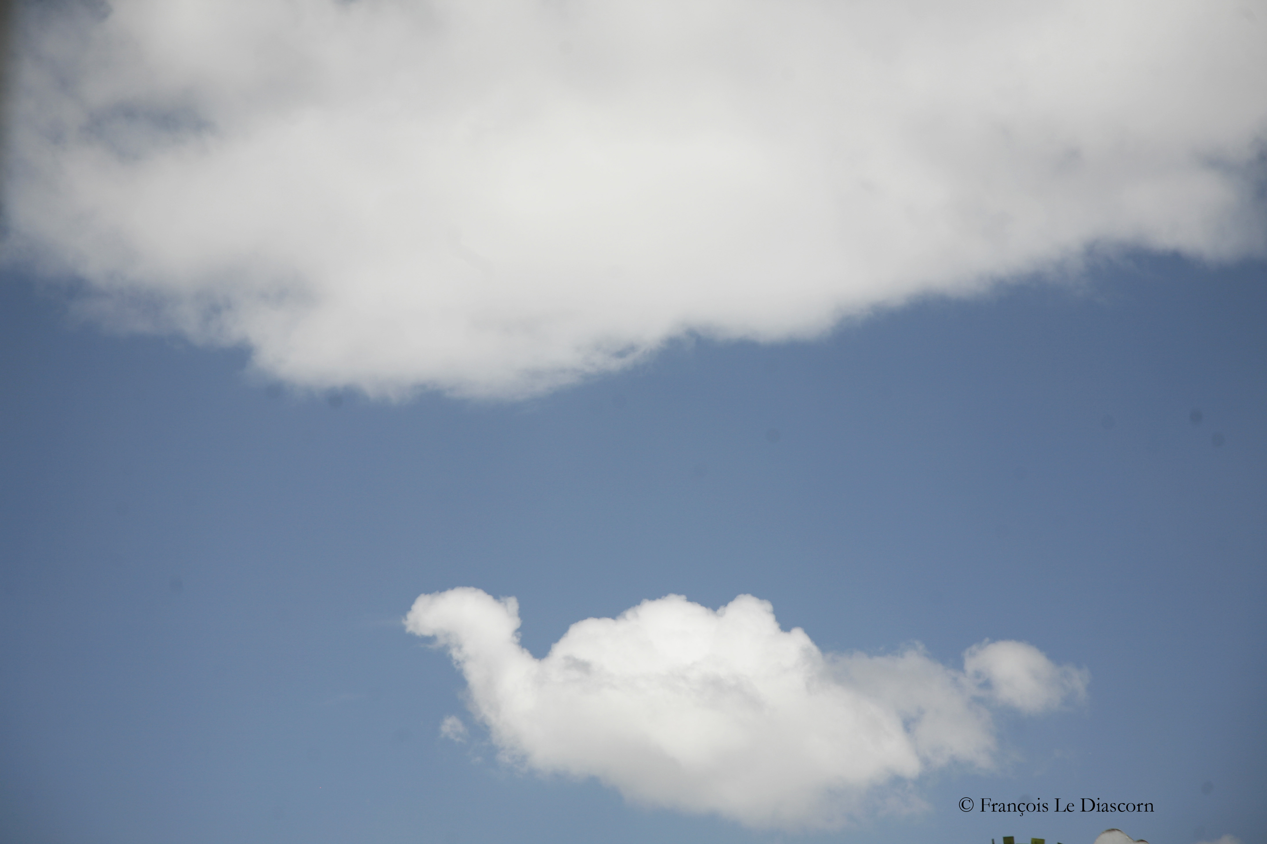 4-_MG_5048-