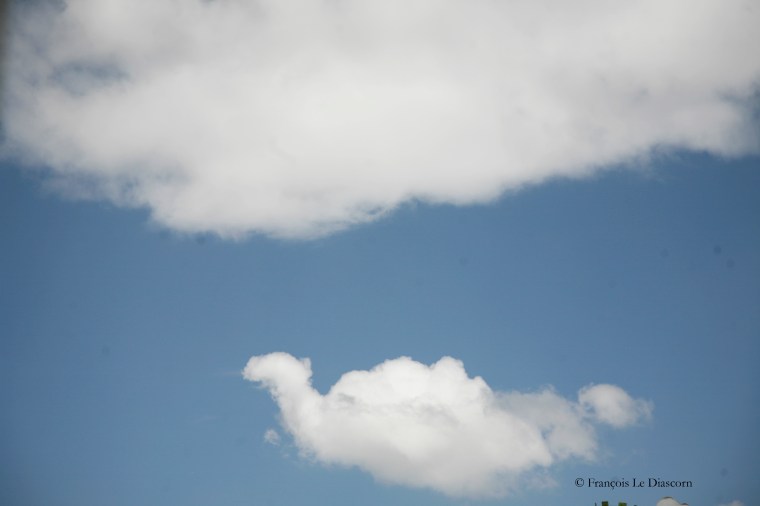 4-_MG_5048-